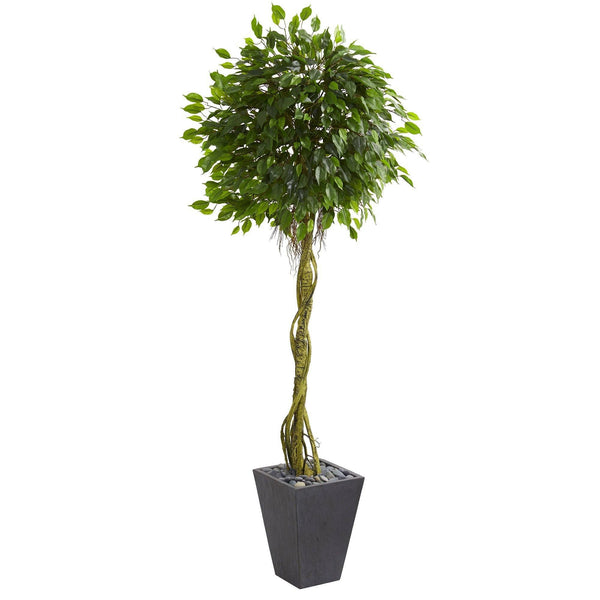 6’ Ficus Artificial Tree in Slate Planter (Indoor/Outdoor)