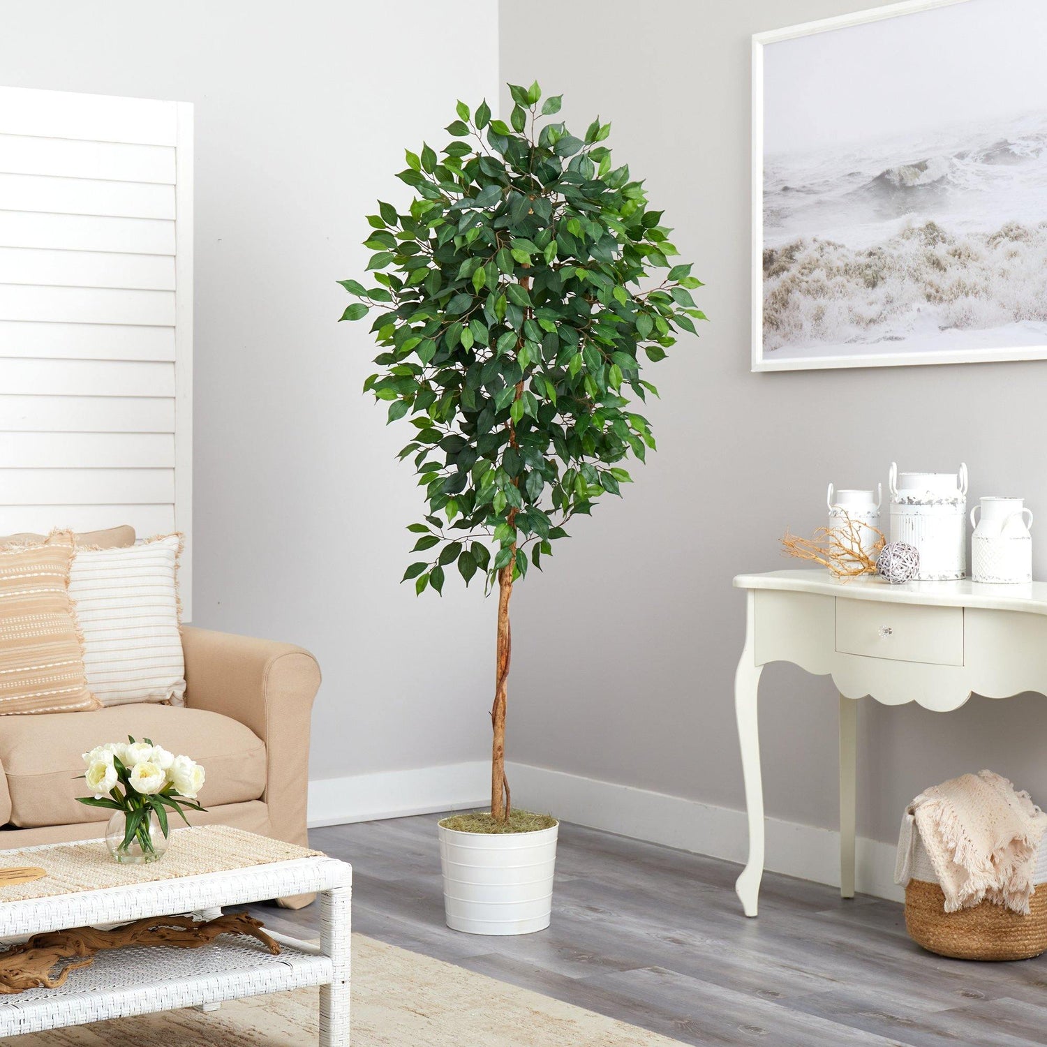 6' Ficus Artificial Tree in White Tin Planter