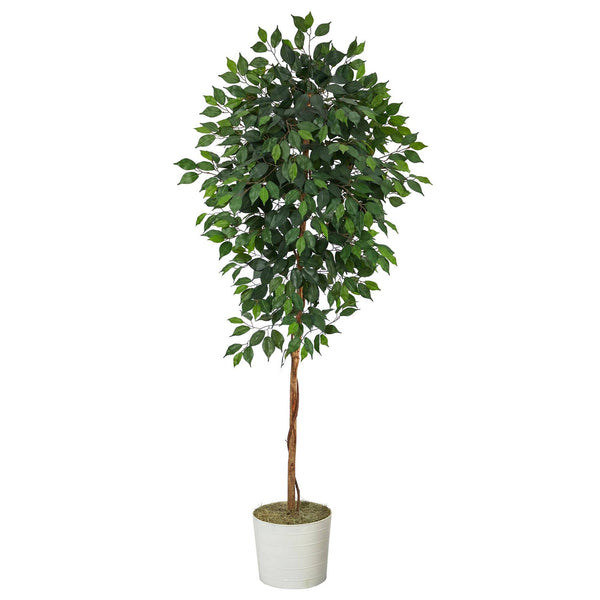 6’ Ficus Artificial Tree in White Tin Planter