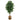 6’ Ficus Artificial Tree with Natural Trunk in Handmade Natural Cotton Planter