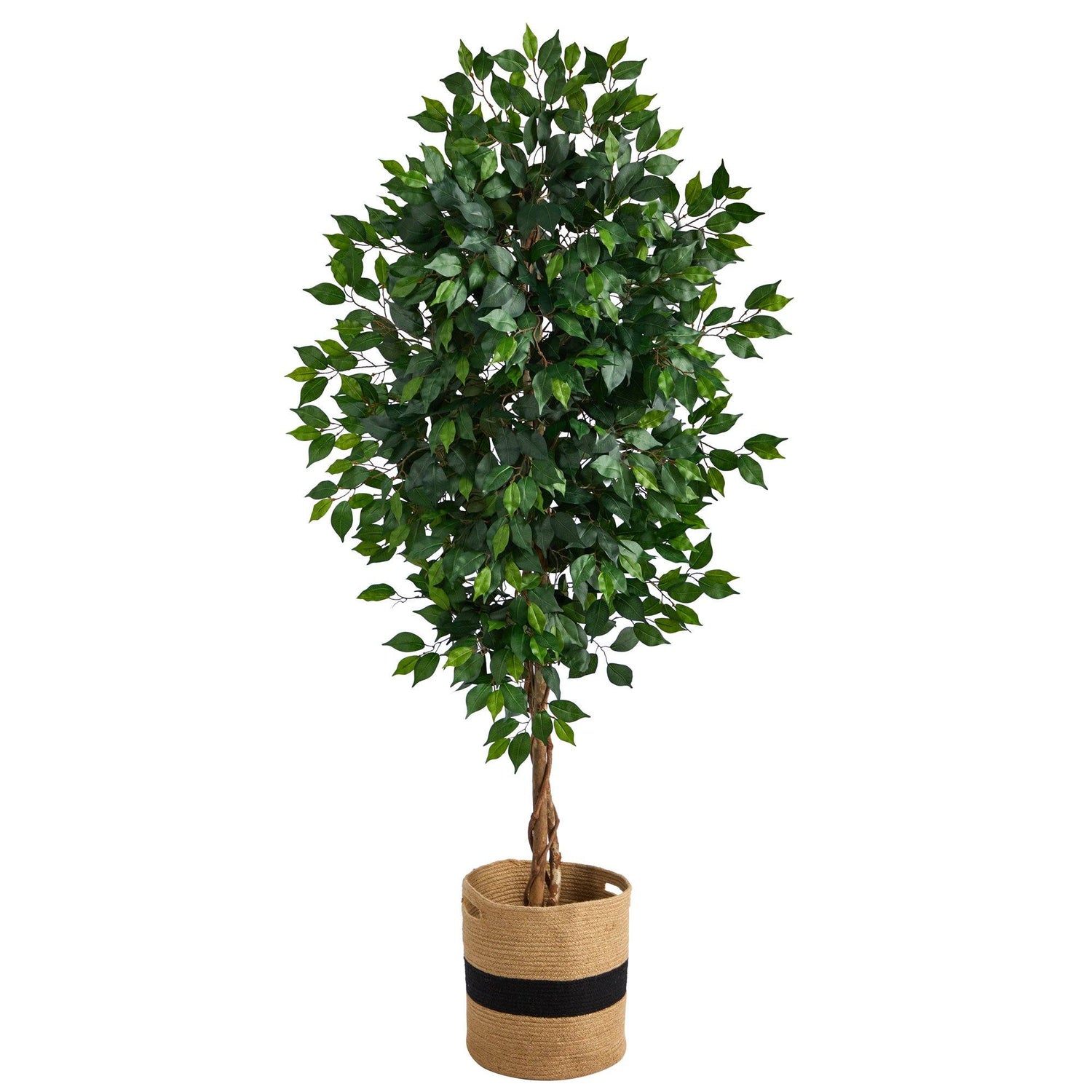 6’ Ficus Artificial Tree with Natural Trunk in Handmade Natural Cotton Planter