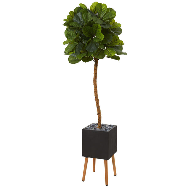 6’ Fiddle Leaf Artificial Tree in Black Planter with Stand (Real Touch)