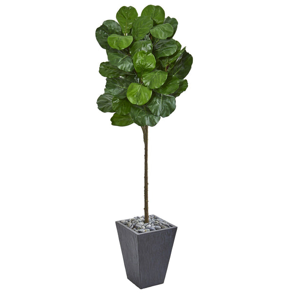 6’ Fiddle Leaf Artificial Tree in Slate Finished Planter