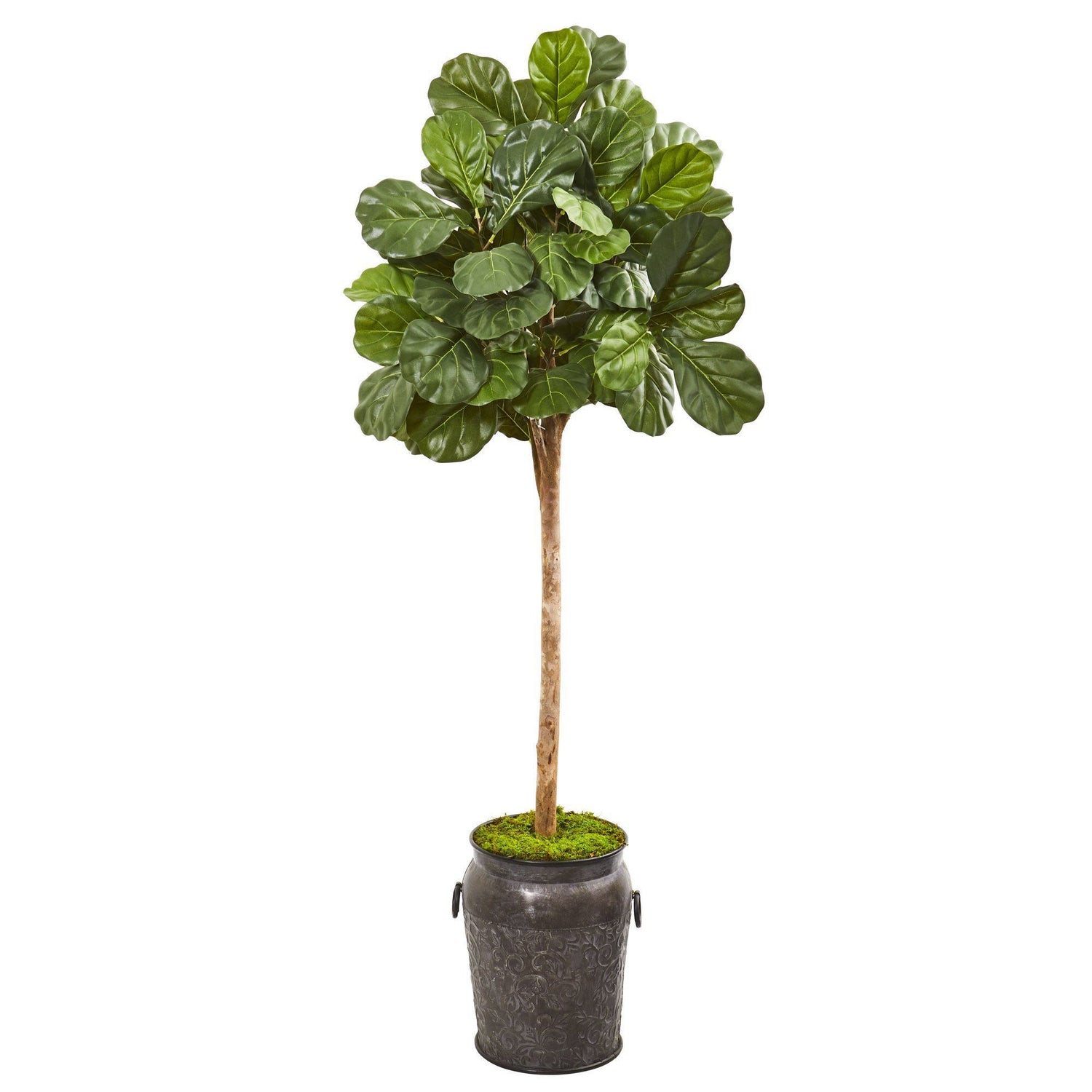 6’ Fiddle Leaf Fig Artificial Tree in Metal Planter