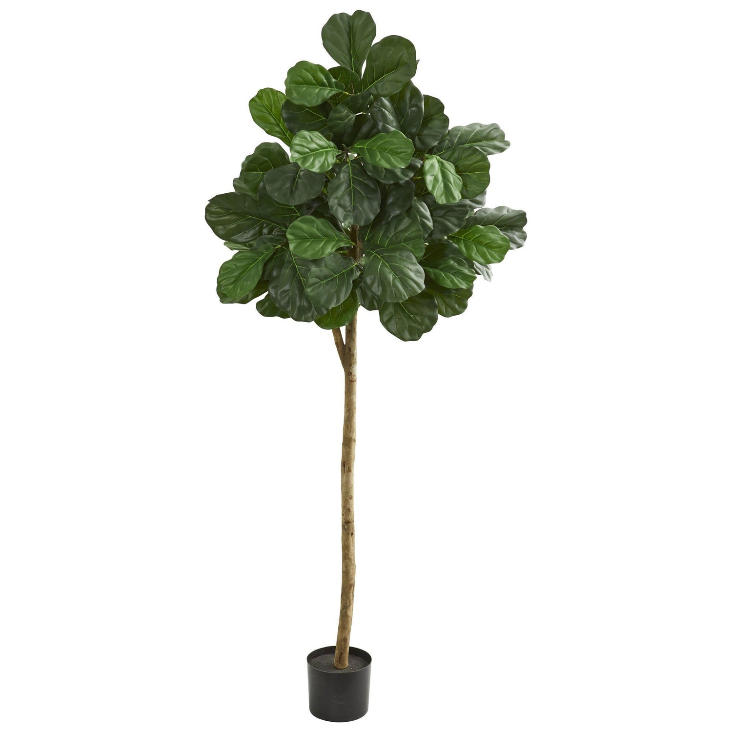 6’ Tall Fiddle Leaf Fig Artificial Tree