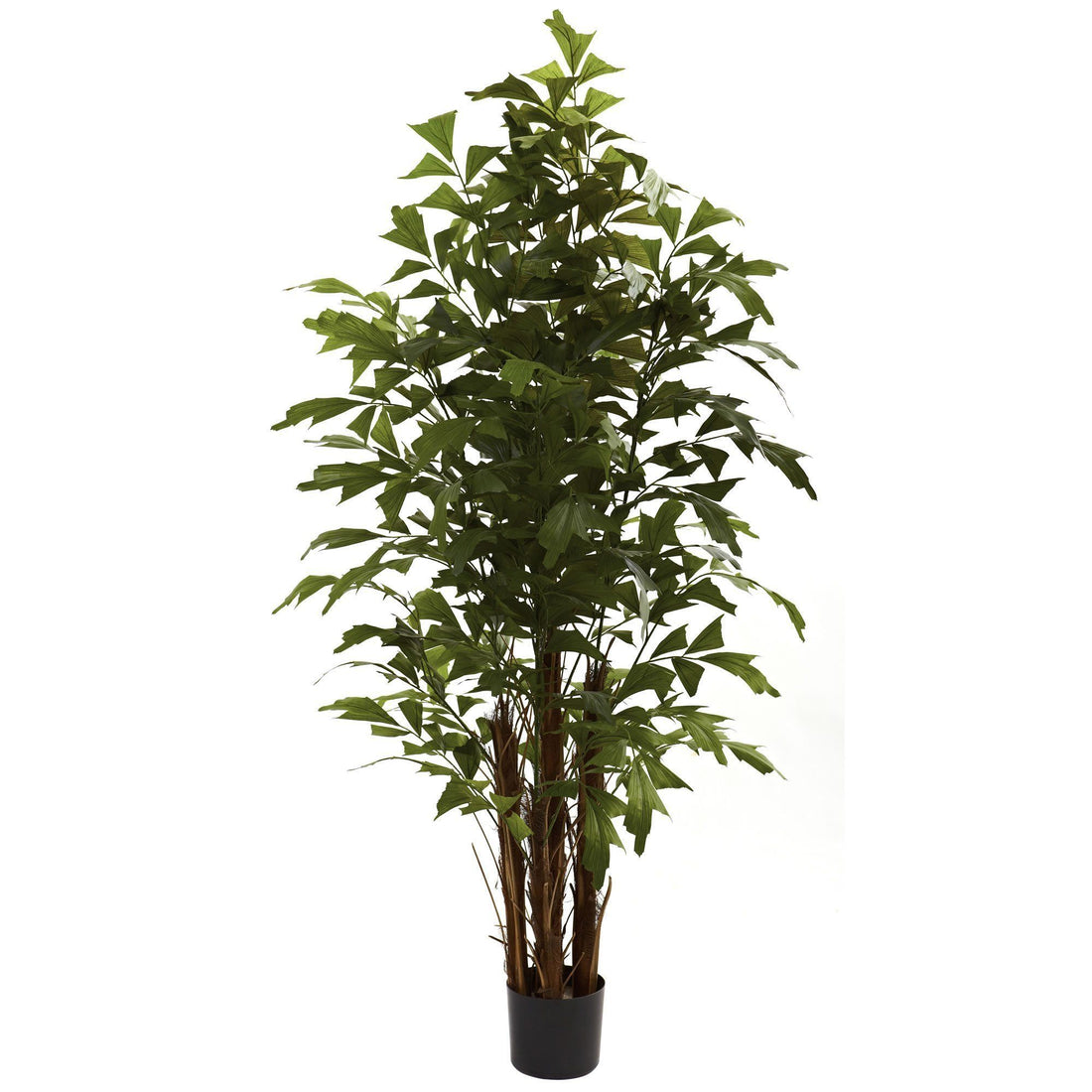 Nearly Natural 6-ft Fishtail Palm Tree