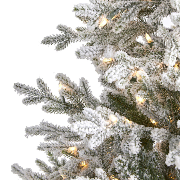 6’ Flocked Fraser Fir Artificial Christmas Tree with 500 Warm White ...