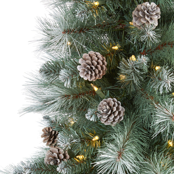 6’ Frosted Tip British Columbia Mountain Pine Artificial Christmas Tree with 250 Clear Lights, Pine Cones and 588 Bendable Branches