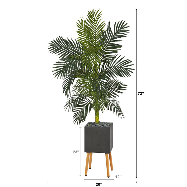 6’ Golden Cane Artificial Palm Tree in Black Modern Planter with Stand