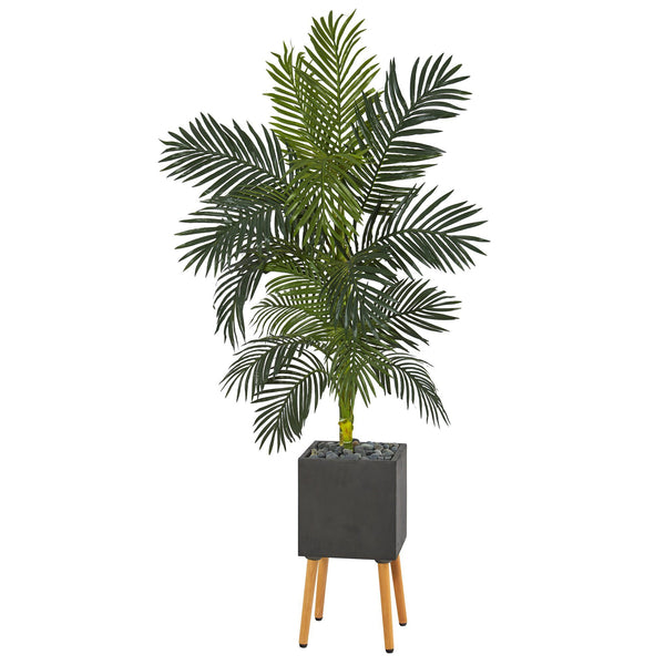 6’ Golden Cane Artificial Palm Tree in Black Modern Planter with Stand