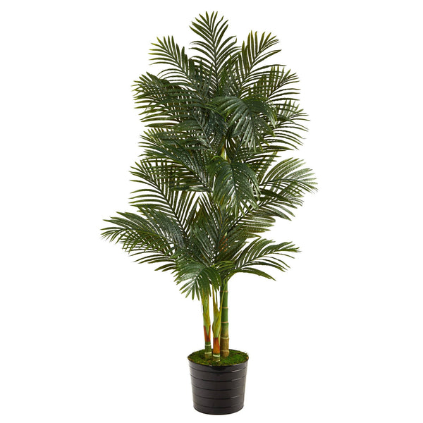 6’ Golden Cane Artificial Palm Tree in Black Tin Planter