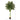 6’ Single Stalk Golden Cane Artificial Palm Tree
