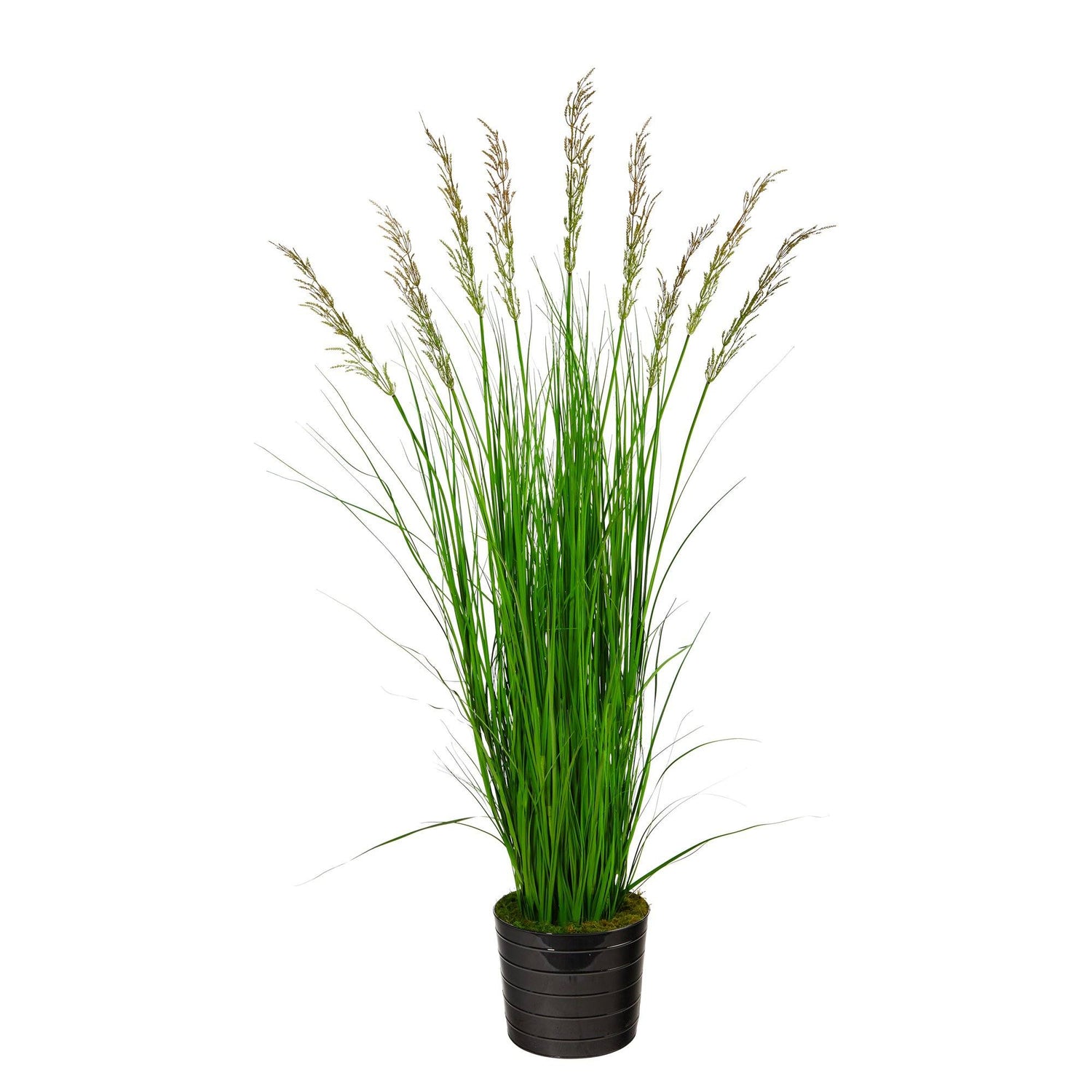 6’ Grass Artificial Plant in Black Tin Planter with Faux Moss