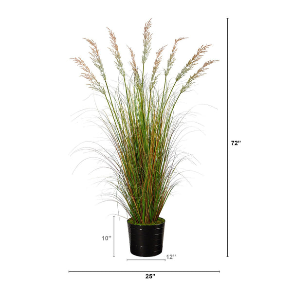 6’ Artificial Grass Plant in Black Tin Planter