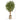 6’ Japanese Maple Artificial Tree in Handmade Natural Cotton Multicolored Woven Planter
