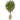 6’ Japanese Maple Artificial Tree in Handmade Natural Cotton Multicolored Woven Planter