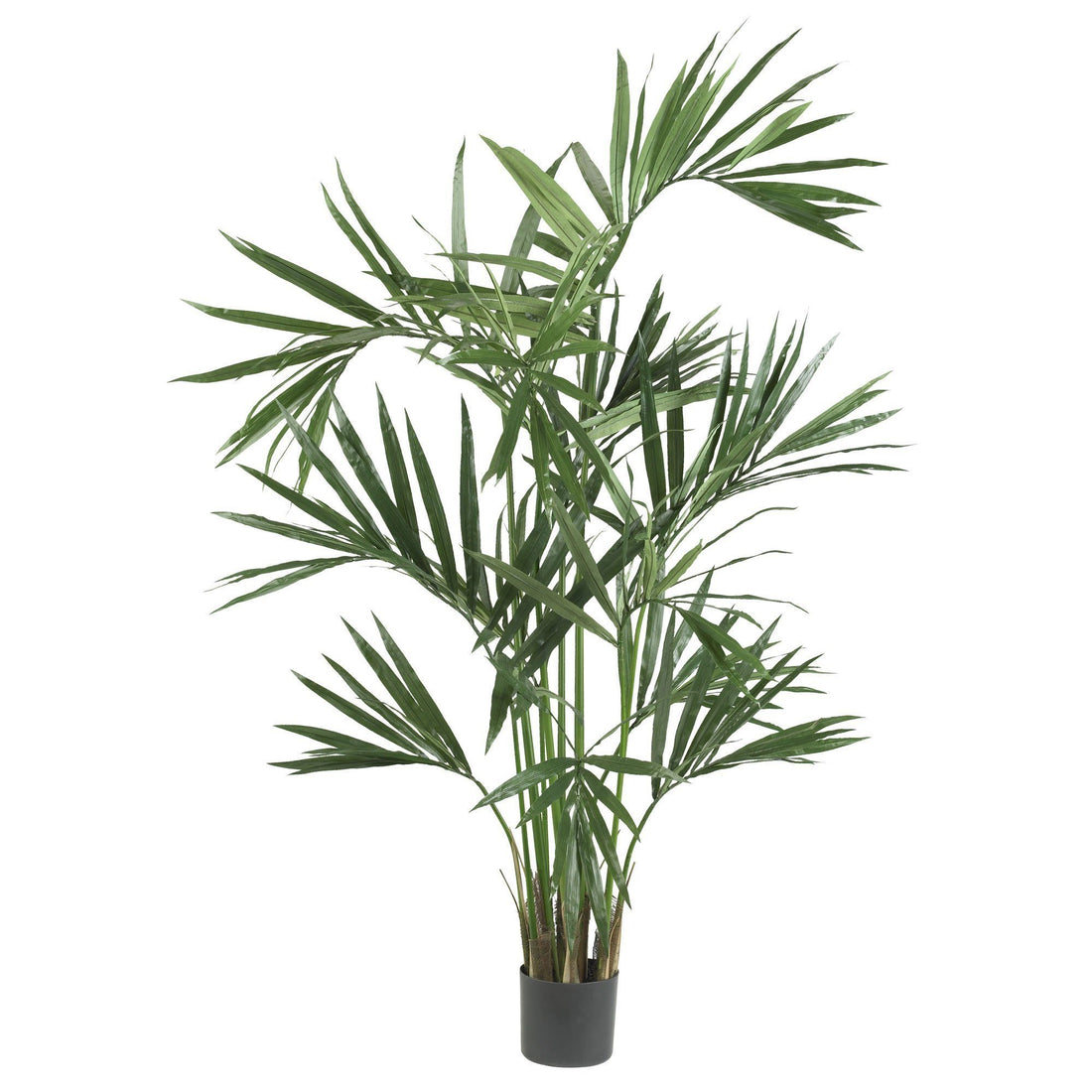metallic palm plant 6' Kentia Palm Silk Tree