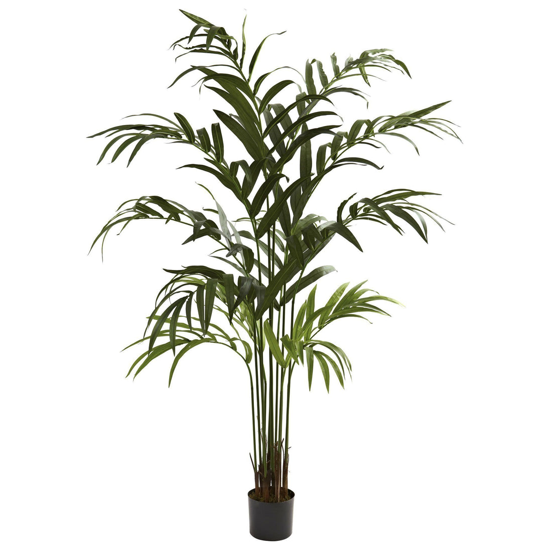 kentia plant indoor Nearly Natural 6-ft Kentia Palm Tree