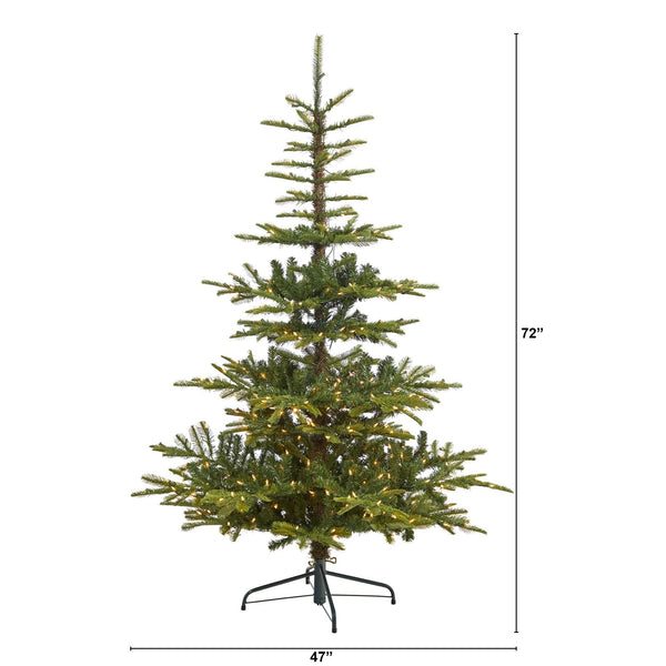 6’ Layered Washington Spruce Artificial Christmas Tree with 350 Clear Lights and 705 Branches