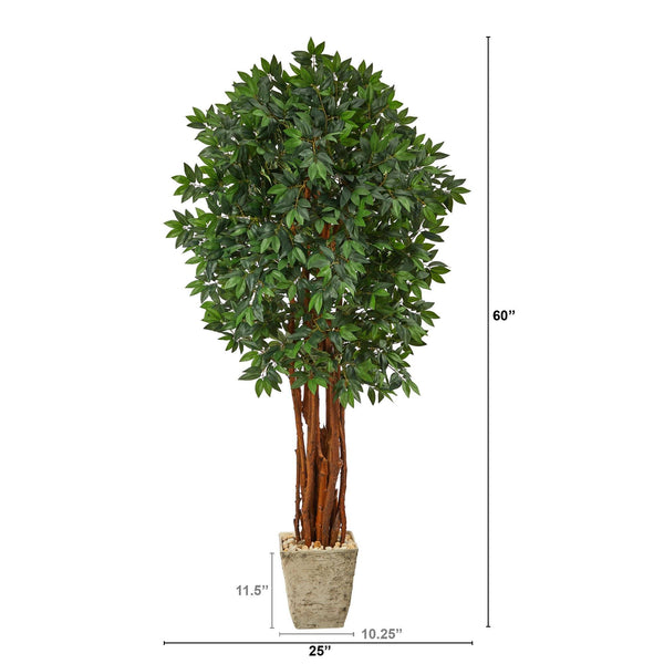 6’ Lychee Artificial Tree in Country White Planter