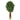 6’ Lychee Artificial Tree in Country White Planter