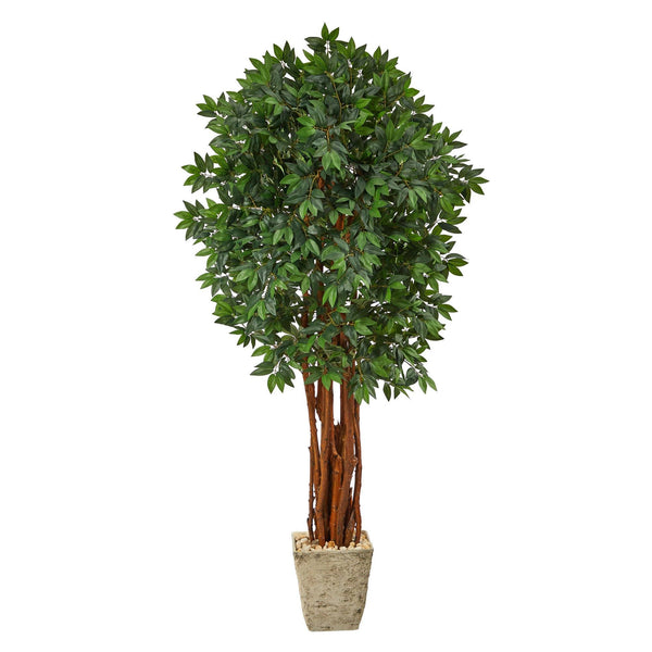 6’ Lychee Artificial Tree in Country White Planter