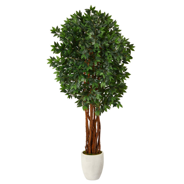 6’ Lychee Artificial Tree in White Planter