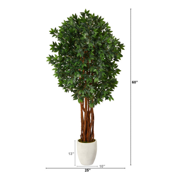 6’ Lychee Artificial Tree in White Planter