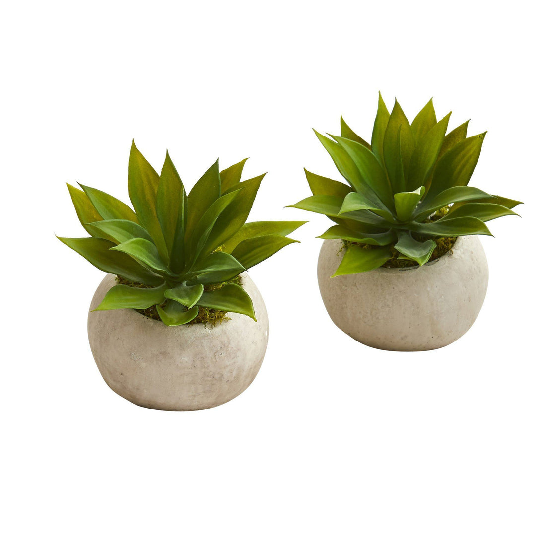 6 Mini Agave Succulent Artificial Plant in Stone Planter (Set of 2) |  Nearly Natural