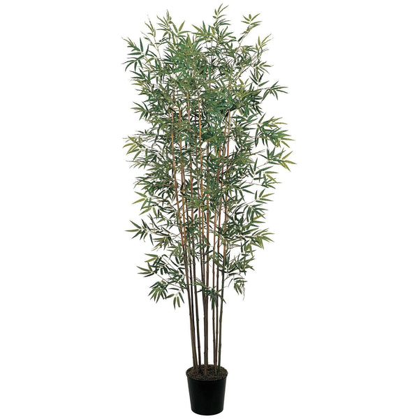 6' Mini Bamboo Silk Tree