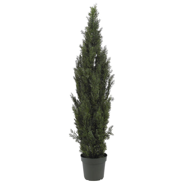 6' Mini Cedar Pine Tree (Indoor/Outdoor)