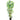 6' Multi Bambusa Bamboo Silk Tree