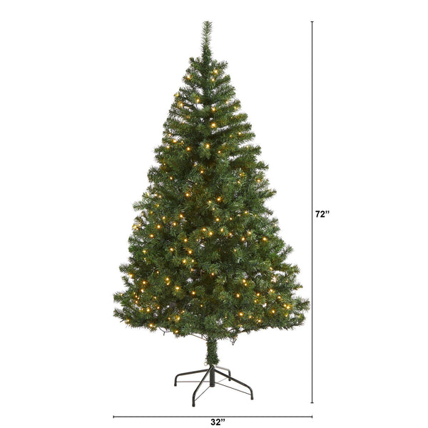6' Northern Tip Pine Artificial Christmas Tree with 250 Clear LED Lights