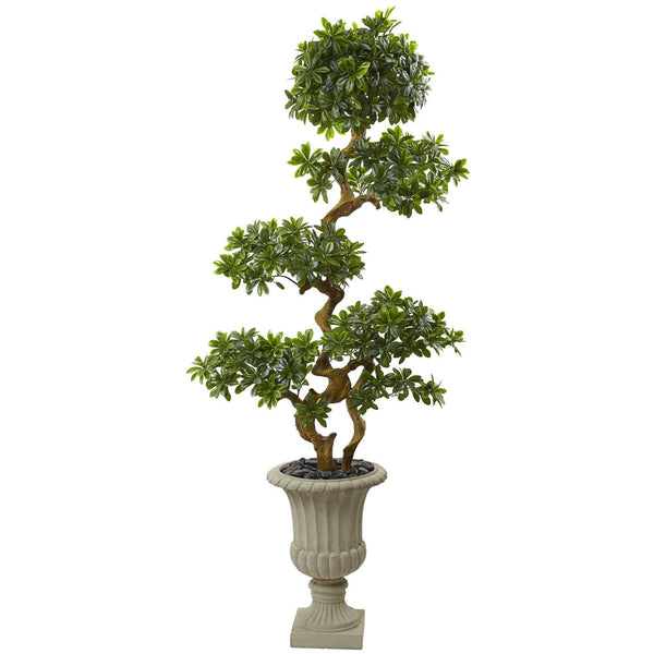 6’ Pittosporum Artificial Tree in Urn UV Resistant (Indoor/Outdoor)