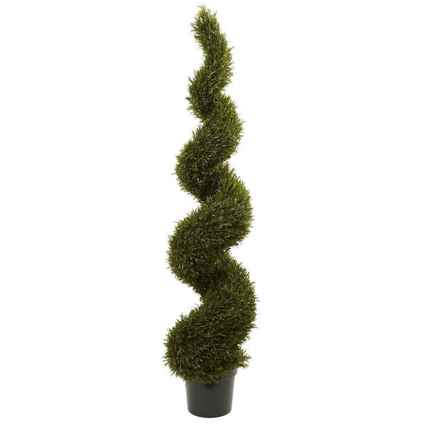 6' Rosemary Spiral Tree (Indoor/Outdoor)