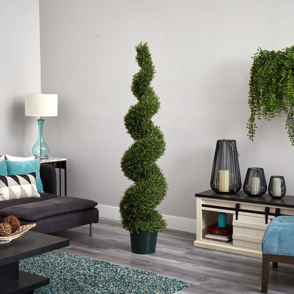 6' Rosemary Spiral Tree (Indoor/Outdoor)