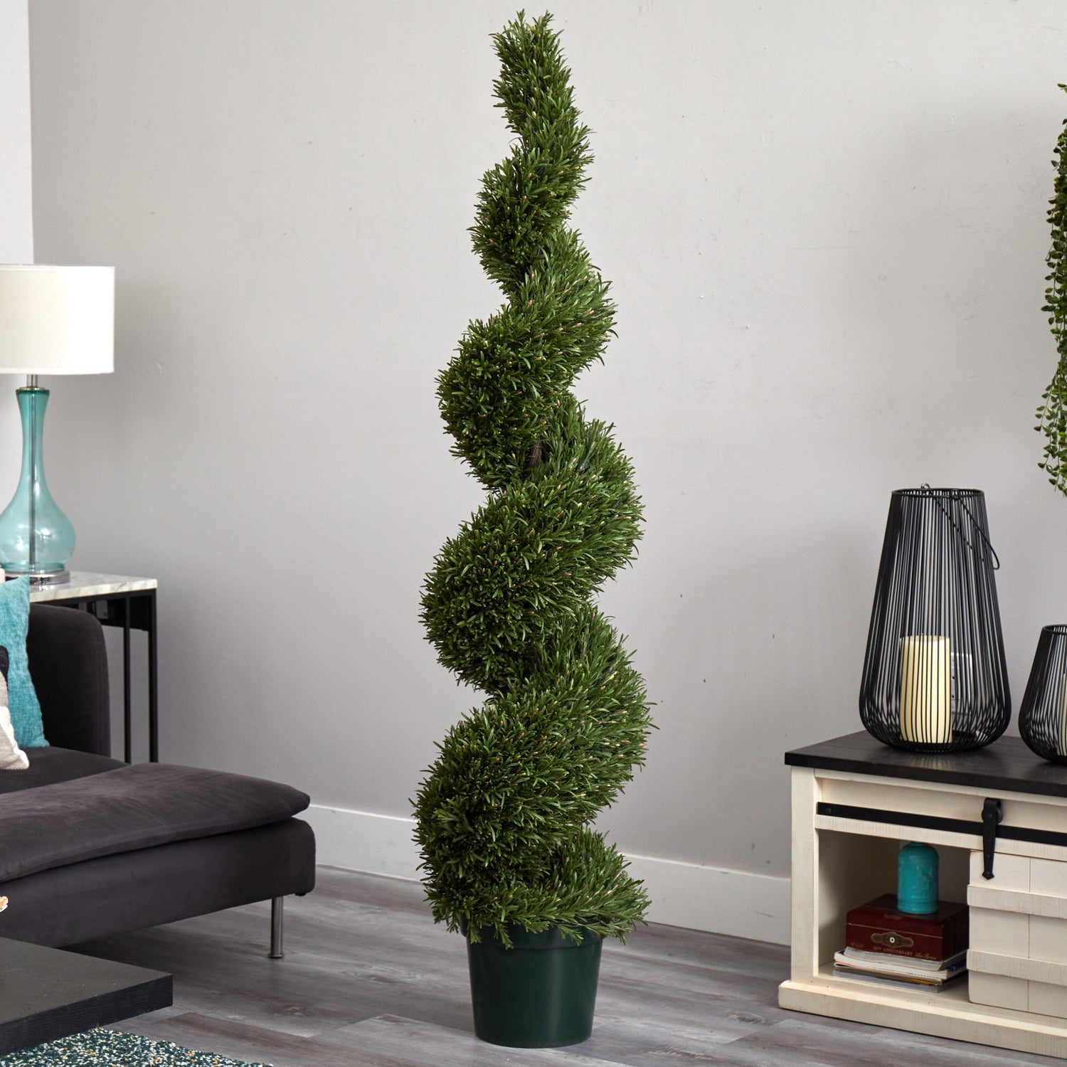 6' Rosemary Spiral Tree (Indoor/Outdoor)
