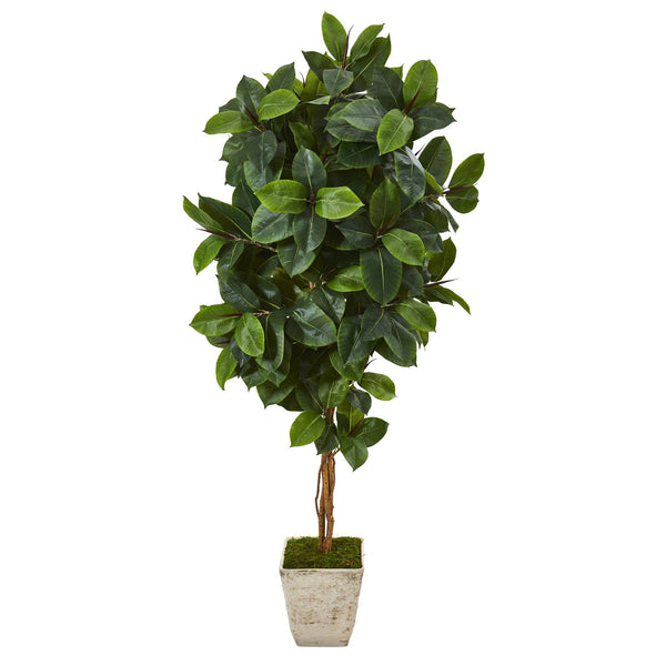 6’ Rubber Leaf Artificial Tree in Country White Planter