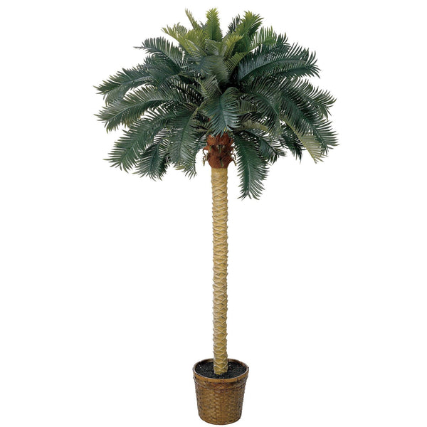 6' Sago Palm Silk Tree