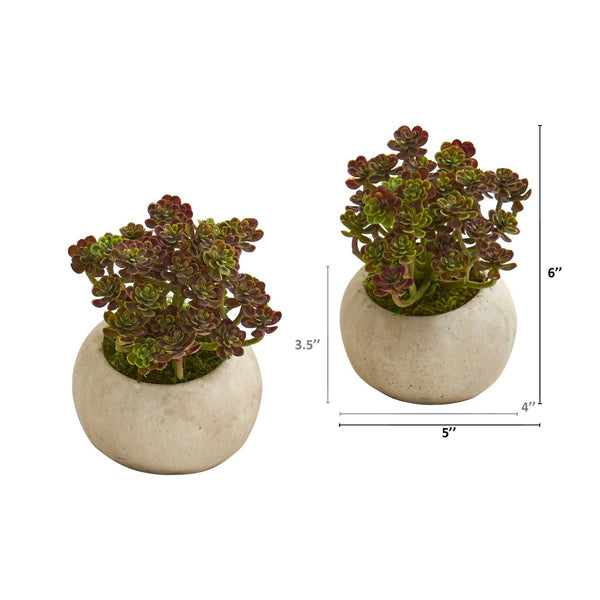 6” Sedum Succulent Artificial Plant in Stone Planter (Set of 2)