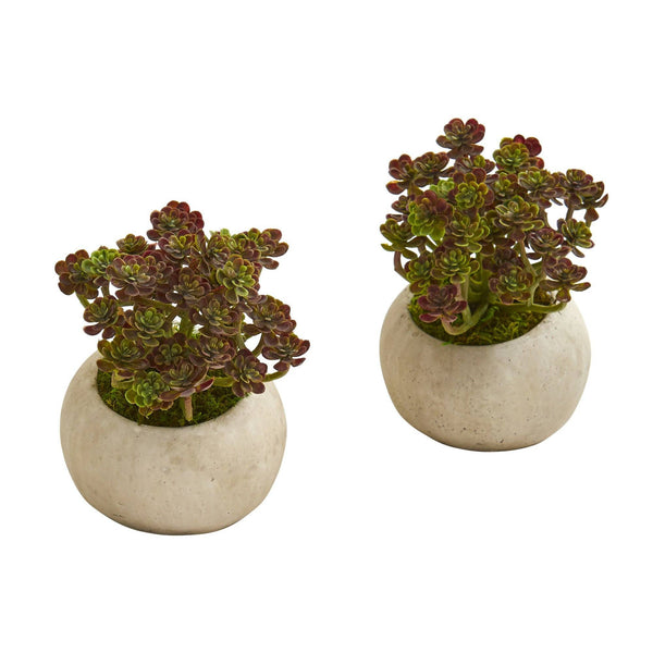 6” Sedum Succulent Artificial Plant in Stone Planter (Set of 2)