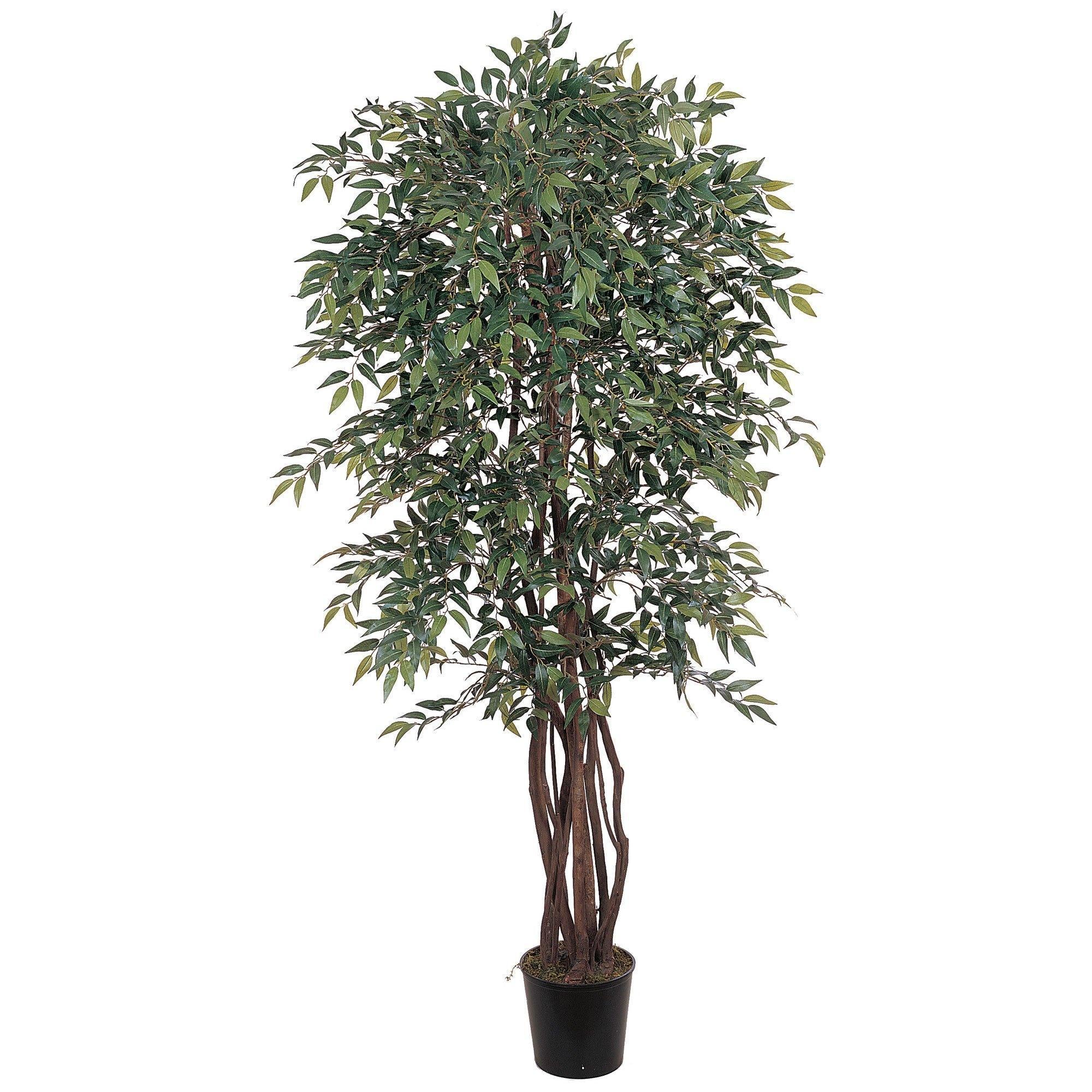 6' Smilax Silk Tree | Nearly Natural