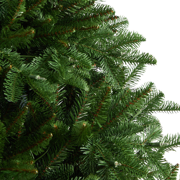 6’ South Carolina Spruce Christmas Tree with 400 White Warm Lights and 1908 Bendable Branches
