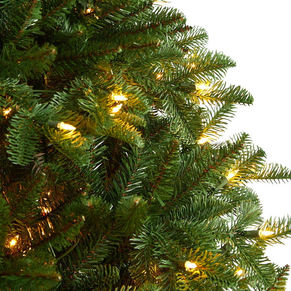 6’ South Carolina Spruce Christmas Tree with 400 White Warm Lights and 1908 Bendable Branches