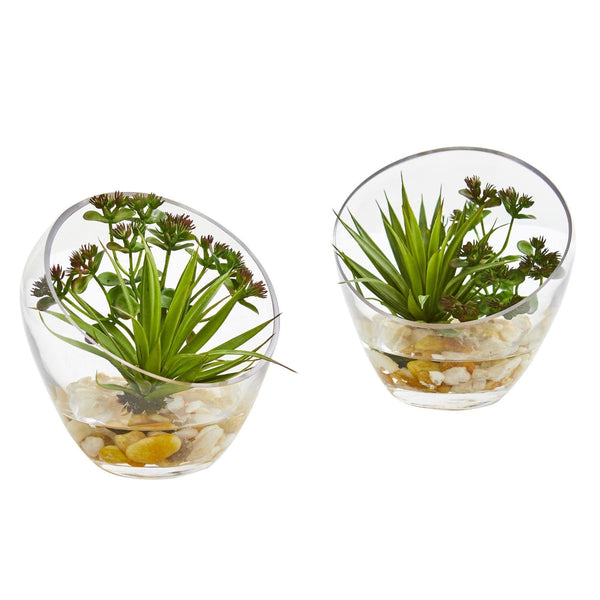 6" Spiky Succulent Artificial Plant in Slanted Glass (Set of 2)"