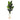 6’ Traveler's Palm Artificial Tree in White Planter with Stand