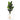 6’ Traveler's Palm Artificial Tree in White Planter with Stand