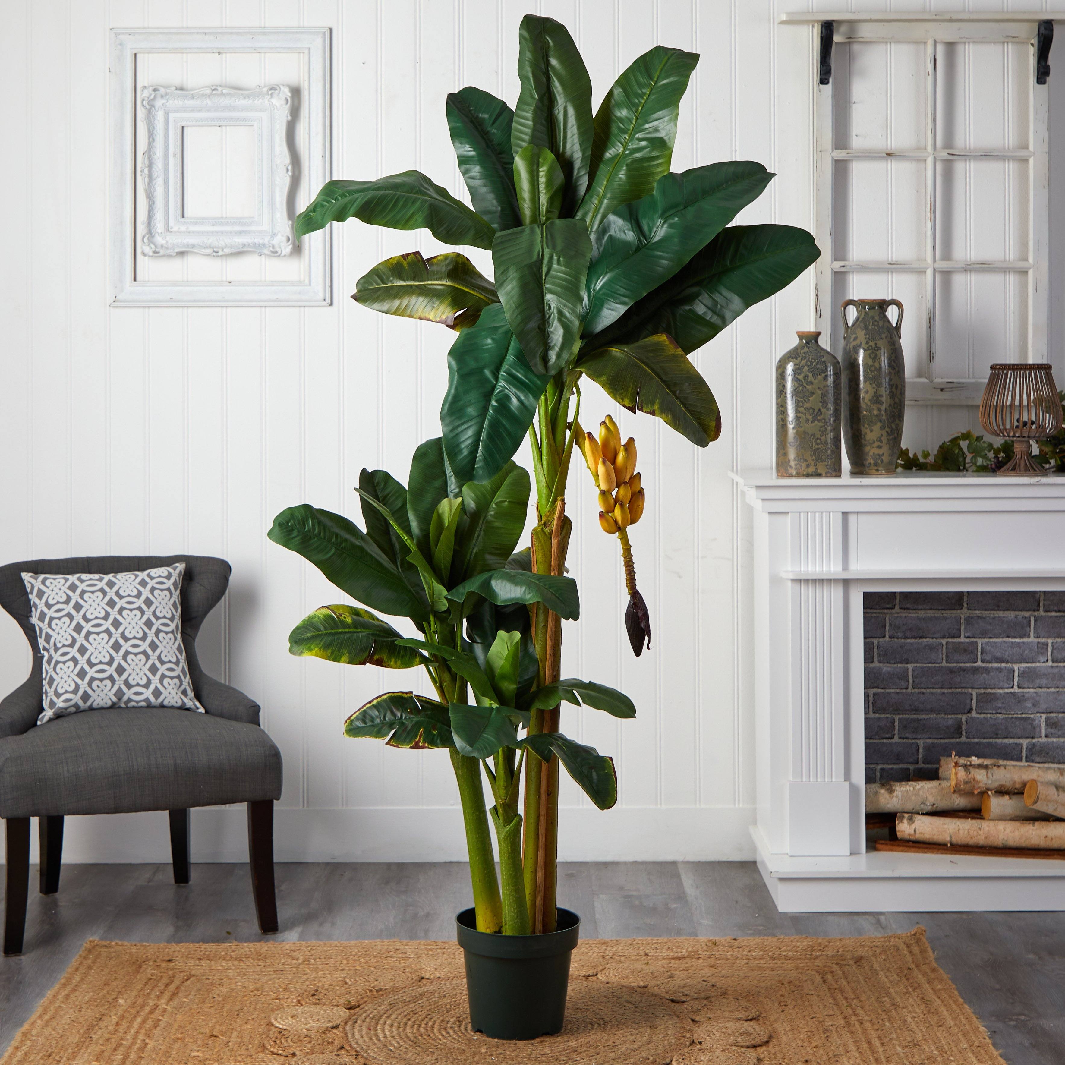 6' Triple Stalk Banana Silk Tree | Nearly Natural