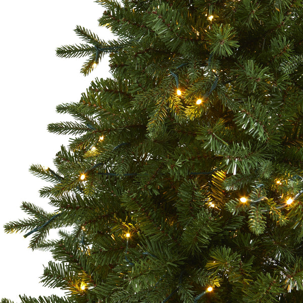 6' Vermont Fir Artificial Christmas Tree with 250 Clear LED Lights