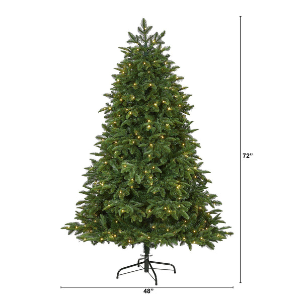 6’ Wyoming Fir Artificial Christmas Tree with 350 Clear LED Lights and 844 Bendable Branches